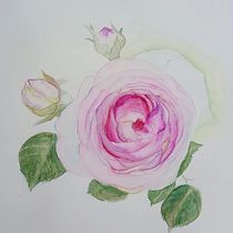 Mein Kursprojekt: Botanische Illustration mit Wasserfarben. Pintura em aquarela, Ilustração botânica, Ilustração tradicional, Artes plásticas, Pintura, e Desenho projeto de Anne Schwarz - 20.09.2020