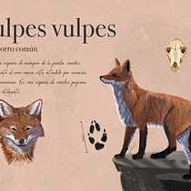 Mi Proyecto del curso: Ilustración naturalista de animales con Procreate. Un proyecto de Ilustración tradicional de Alexander Moreno - 08.09.2020