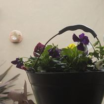 Mi Proyecto del curso: Introducción a la fotografía digital. Un projet de Photographie de fabricio_tammar - 08.09.2020