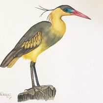Mi Proyecto del curso: Ilustración naturalista de aves con acuarela. Watercolor Painting project by Carlos Fernandes - 09.10.2020