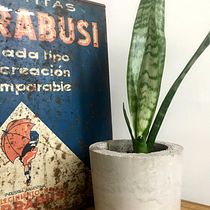 Mi Proyecto del curso: Creación de muebles en concreto para principiantes. Arts, Crafts, Furniture Design, Making, Interior Design, Interior Decoration, and DIY project by Ana Rossetti - 09.10.2020