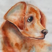  La perrita Alma.. Watercolor Painting project by Gloria Bass - 09.12.2020