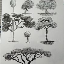 Mi Proyecto del curso: Dibujo para principiantes nivel -1. Drawing project by joan piquer montón - 09.13.2020
