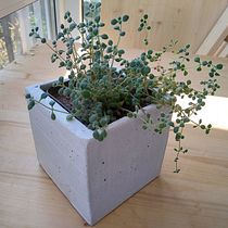 My concrete planters in cardboard molds. Furniture Design, and Making project by dmtr.mrshn - 09.14.2020