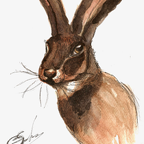 Mi Proyecto del curso: Técnicas experimentales de acuarela para principiantes . Drawing, and Watercolor Painting project by Gino Fabrizio Sandrin - 09.16.2020