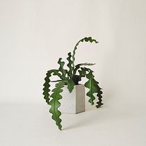 THE POT. Arts, Crafts, Decoration, Design, Product Design, DIY & Interior Decoration project by Cynthia Lisner Moreno - 09.17.2020