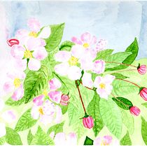 Mi Proyecto del curso: Creación de paletas de color con acuarela. Un progetto di Belle arti di Cinthia Muñoz Vega - 17.09.2020