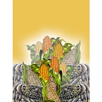 Mi Proyecto del curso: Ilustración comercial con lápices de colores. Desenho a lápis, Ilustração tradicional e Ilustração digital projeto de Paris Claudio Ruiz Rosales - 19.09.2020