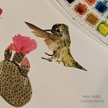 Mi Proyecto del curso: Ilustración naturalista de aves con acuarela. Watercolor Painting project by Ana Isabel Castro - 09.20.2020