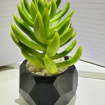 Mi Proyecto del curso: Introducción al diseño e impresión en 3D. Projekt z dziedziny  Modelowanie 3D użytkownika David Muñoz - 20.09.2020
