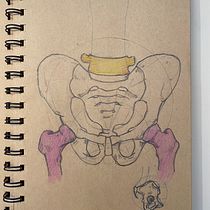 Mi Proyecto del curso: Dibujo anatómico para principiantes Ein Projekt aus dem Bereich Traditionelle Illustration von María Sánchez - 22.09.2020