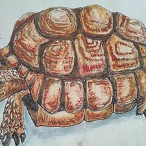 My project in The Art of Sketching: Transform Your Doodles into Art course Ein Projekt aus dem Bereich Traditionelle Illustration, Bleistiftzeichnung, Zeichnung und Sketchbook von Adrian H. Querejazu - 24.09.2020