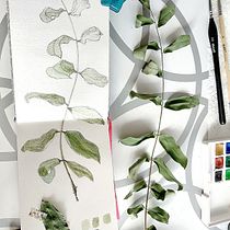 Mi Proyecto del curso: Cuaderno Botánico en acuarela - Mi cuaderno. Un progetto di Illustrazione tradizionale, Pittura ad acquerello, Illustrazione botanica e Sketchbook di Cecilia Mora Bonilla - 01.10.2020