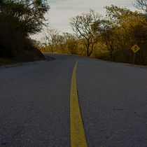 Mi proyecto: Paseo por el cerro. Un projet de Photographie de Pancu Abeleira Saravia - 30.09.2020