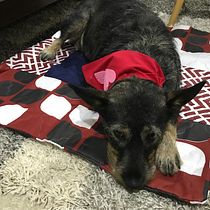 Una colchita. Mi Proyecto del curso: Introducción al patchwork contemporáneo. Un projet de St, lisme, Couture, DIY , et Design textile de Iveth Zamora - 01.10.2020