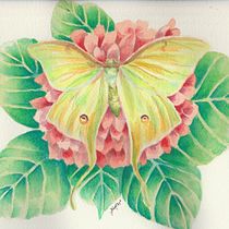 Mi Proyecto del curso: Técnicas experimentales de acuarela para principiantes . Watercolor Painting project by Yahann Romero - 10.02.2020