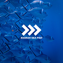My project in Logo Design: From Concept to Presentation course. Br, ing & Identit project by rahmanoffi666 - 10.02.2020