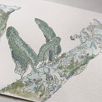 Caderno botânico em aquarela - Yukie. Un progetto di Illustrazione botanica di Yukie Kabashima - 11.10.2020