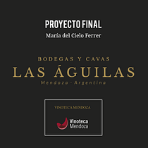 Bodegas y Cavas Las Águilas (unidad de negocio: Vinoteca Mendoza) | Introducción al community management. Un projet de Communication, Design graphique, Marketing, Marketing de contenu, Marketing digital, Marketing pour Facebook , et Marketing pour Instagram de María del Cielo Ferrer Mangoni - 11.10.2020