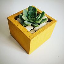 Mi Proyecto del curso: Creación de muebles en concreto para principiantes. Arts, and Crafts project by renejsb13 - 10.08.2020
