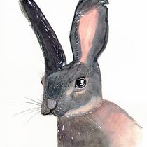 My project in Experimental Watercolor Techniques for Beginners course. Watercolor Painting project by Sandra Gimenez - 10.17.2020