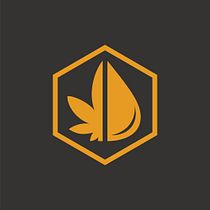 My project in Creation of a Corporate Identity Manual course. Logo Design project by jpedrospinola - 01.20.2021