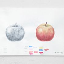Diario Naturalista. Projekt z dziedziny Trad, c, jna ilustracja, R, sunek botaniczn i Malowanie akwarelą użytkownika Javiera Videla - 07.03.2021
