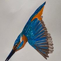 My project in Naturalist Bird Illustration with Watercolors course. Ilustração tradicional projeto de jacqui_hey - 30.11.2020