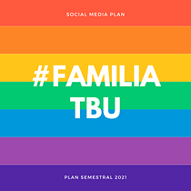 Mi Proyecto del curso: Social media plan "Familia TBU". Communication project by Vicente Berrogorry Llano - 10.15.2020