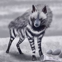 My project in Naturalist Animal Illustration with Procreate course. Un proyecto de Dibujo artístico de shishi47 - 19.10.2020