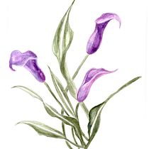 Mi Proyecto del curso: Ilustración botánica con acuarela. Pintura em aquarela projeto de Silvana Trama - 24.10.2020