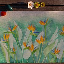 Strelitzias - Final project for Negative watercolor painting Ein Projekt aus dem Bereich Botanische Illustration und Aquarellmalerei von Francesca Gulli - 22.10.2020