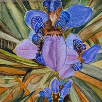 My project in Botanical Illustration with Watercolors course. Ilustração botânica projeto de Victoria Beresi - 24.10.2020