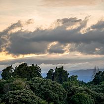 Mi Proyecto del curso: Amanecer en el bosque. Outdoor Photograph project by josgonzalez02 - 11.16.2020