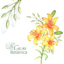 Mi Proyecto del curso: Técnicas aplicadas de ilustración en acuarela. Un progetto di Br, ing, Br, identit, Illustrazione botanica, Pattern design e Pittura ad acquerello di Mariana Rodríguez - 25.10.2020