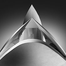 Ciudad de las Artes y las Ciencias. Architectural Photograph project by Juan Miguel Albors Pérez - 12.01.2020