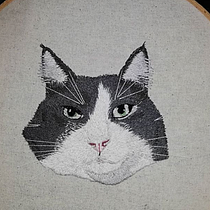 Mi gato Palomo. Embroider project by Ines Ormeño Jimenez - 10.26.2020