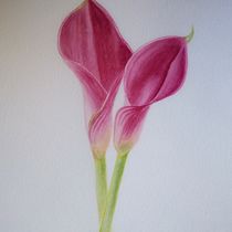 Mi Proyecto del curso: Ilustración botánica con acuarela. Pintura em aquarela, Ilustração tradicional, Artes plásticas, Pintura, Desenho e Ilustração botânica projeto de gabynavarro_cba - 02.08.2021