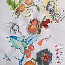 My project in Illustration Techniques to Unlock your Creativity course. Traditional illustration project by Dilek H. - 10.29.2020
