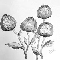 My project in Introduction to Illustration with India Ink course. Ilustração botânica, Ilustração infantil, Concept Art, Ilustração digital, Desenho e Ilustração com tinta projeto de Kitty Wong - 30.10.2020