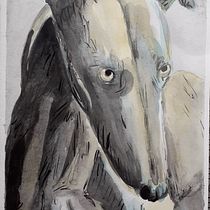 Algunos de los muchos animalitos pintados con las técnicas del curso :). Watercolor Painting project by ncirauqu - 10.30.2020