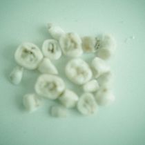Teeth. Photograph project by Betzabeth Pagán Sotomayor - 10.31.2020