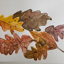 Meu projeto do curso: Criação de paletas de cores com aquarela. Un progetto di Illustrazione tradizionale, Illustrazione botanica e Pittura ad acquerello di Tânia Rodrigues - 01.11.2020