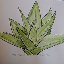 Mi Proyecto del curso: Cuaderno botánico en acuarela. Projekt z dziedziny Malowanie akwarelą użytkownika Federica Banfi - 01.11.2020