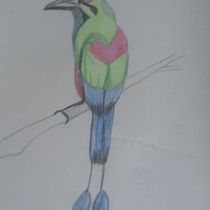 Mi Proyecto del curso: De principiante a superdibujante. Un proyecto de Dibujo de Rossy Merino - 04.11.2020