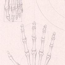 Tablero de estudio de proporciones humanas Ein Projekt aus dem Bereich Zeichnung, Bleistiftzeichnung und Anatomische Zeichnung von Marcelo Perez Izco - 03.12.2020