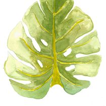 Meu projeto do curso: Aquarela botânica para estampados. Un progetto di Illustrazione botanica di Amanda Gobus - 27.11.2020
