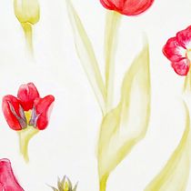 Tulipa em aquarela. Ilustração botânica projeto de Elenice Fernandes Camargo - 10.11.2020
