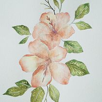 Meu projeto do curso: Ilustração botânica com aquarela. Pintura projeto de Renata Petribu - 19.11.2020