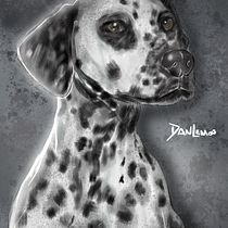 Meu projeto do curso: Ilustração naturalista de animais com Procreate. Un proyecto de Animación de Daniel Lemos - 09.11.2020